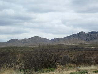 Desert Landscape from Big Bend National Park