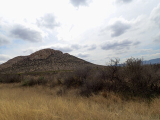Desert Landscape from Big Bend National Park