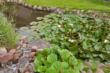 Garden near Vilkaviskis town. Lithuania