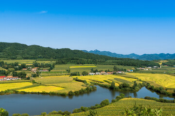 Overlooks the harvest of rice fields and rivers in Benxi, Liaoning Province, China, in autumn.