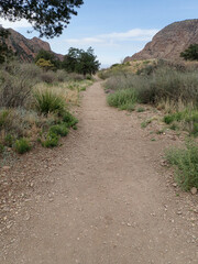 Path through the desert