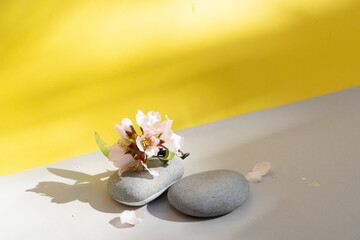 Minimal product display