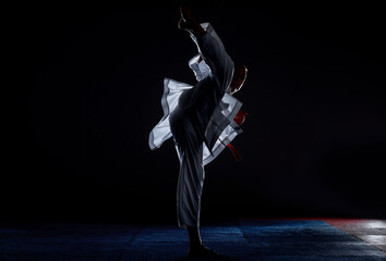 Karate martial arts fighter in white kimono in the gym © qunica.com