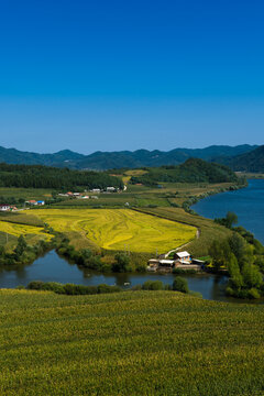 Overlooks the harvest of rice fields and rivers in Benxi, Liaoning Province, China, in autumn.