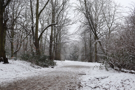Snowy path during Winter in Hampstead Heath, London, United Kingdom