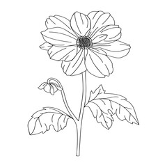 Dahlia flower illustration. Modern botanical drawing for pattern, logo, template, banner, posters, invitation and greeting card design. Black dahlia outline. Summer flower design.