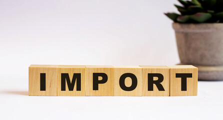 The word IMPORT on wooden cubes on a light background near a flower in a pot. Defocus