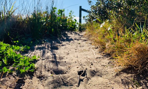 Cape Baily Track, Kurnell, Australien