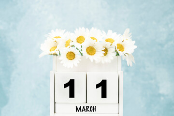 cube calendar for March with daisy flowers over blue with copy space
