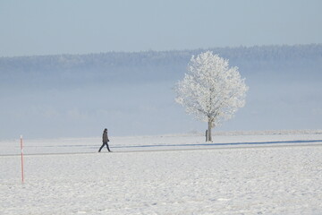 Walking in winter wonderland