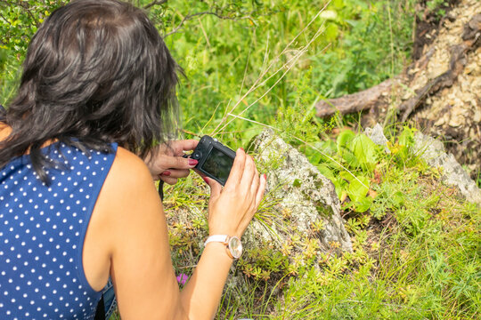 a girl takes photos of a macro object, flowers, insects in nature, leaning the camera close to the grass on the ground