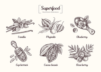 Vector hand drawn vanilla, blueberry, physalis, goji berries, cocoa beans, acai berries in graphic style. Superfood. Sketch in doodle style. Botanical Illustration. Eco healthy food. 