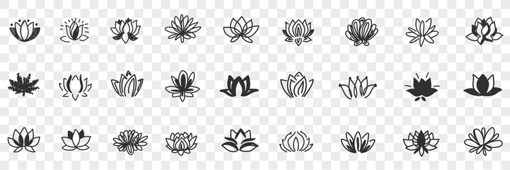Lotus flowers pattern doodle set. Collection of hand drawn natural floral pattern of blooming lotus flowers in rows isolated on transparent background