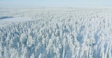Florida Wonderland High Quality and Beautiful Natural Wallpaper 

