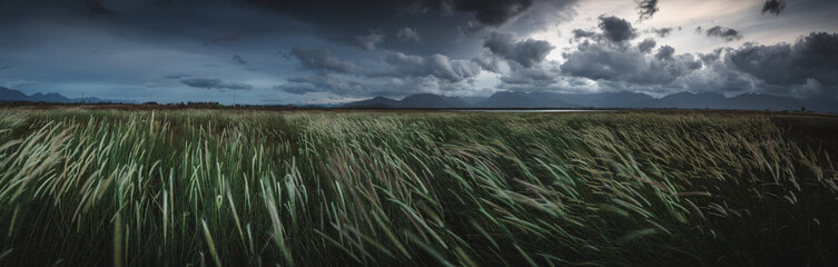 Wide angle landscape image of a grassland in the western cape of south africa during a thunder storm