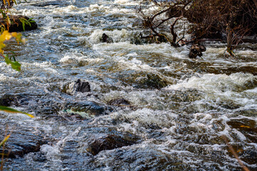 Rocky fast river. Running water, flowing with rapids
