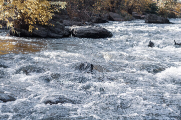 Rocky fast river. Running water, flowing with rapids
