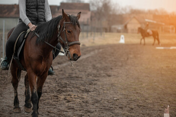Fototapeta premium Beautiful young girl riding a brown horse