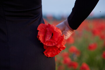 Beautiful girl in a black dress with a poppy close up. Summer sunny concept