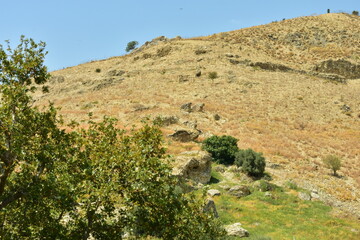 Gortyna is the ruins of an ancient metropolis on the Greek island of Crete.
