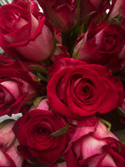 bouquet of red roses