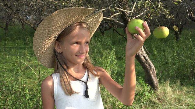Child Eating Apple, Kid in Orchard, Kid Tasting Fruits in Tree, Farmer Blonde Girl at Village at Countryside