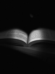 Obraz premium open book