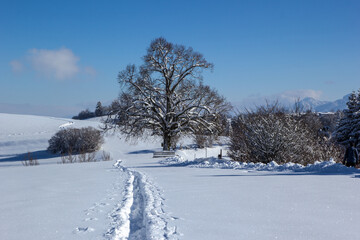  tief verschneite Winterlandschaft in Pfronten mit schönem Ausblick