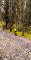 Naklejka premium Cyclist woman riding through the forest.