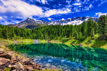 Fototapeta na wymiar Amazing clear water in Scispadus Lake with the Swiss Alps in the background