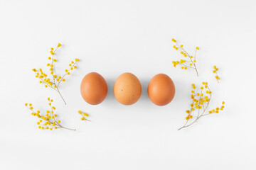 Naklejka na ściany i meble Brown chicken eggs with branches of yellow mimosa flower flat layon white background top view. Easter composition. Minimalism style easter day. Food. breakfast layout.