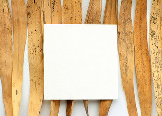 Blank square white card on dry old reed leaves. Empty mockup poster. Minimal interior design. Modern style.
