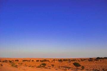Fototapeta na wymiar Saam Desert Jaisalmer Rajasthan