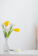  spring flowers on white background