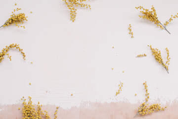 Flowers composition. Yellow mimosa flowers on white background