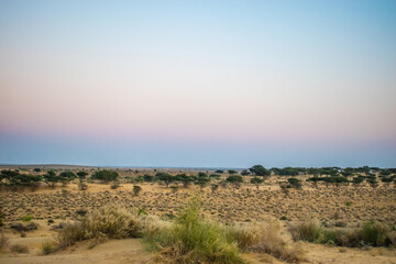 Beautiful a Structures Monuments Gardens with Flowers in Rajasthan
