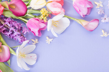 multicolored spring flowers on  purple background