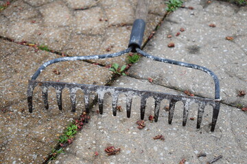 Rake