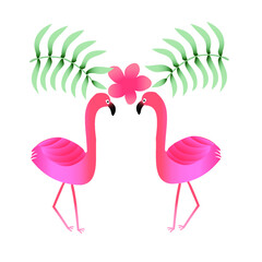 pink flamingo in the water