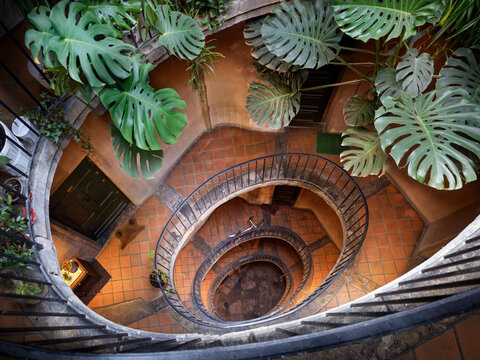Soleil'house in the St Georges district in Lyon. This 17th century house was owned by Barou du Soleil. A staircase leads to an oval gallery.