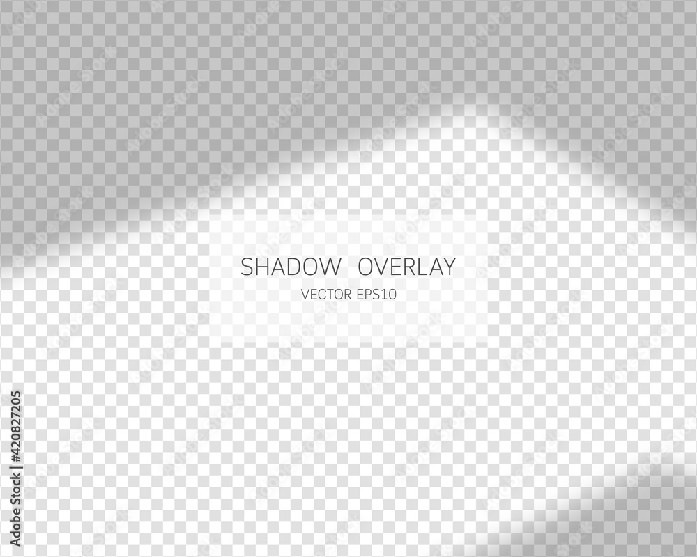Poster shadow overlay effect. natural shadows from window isolated on transparent background. vector illust