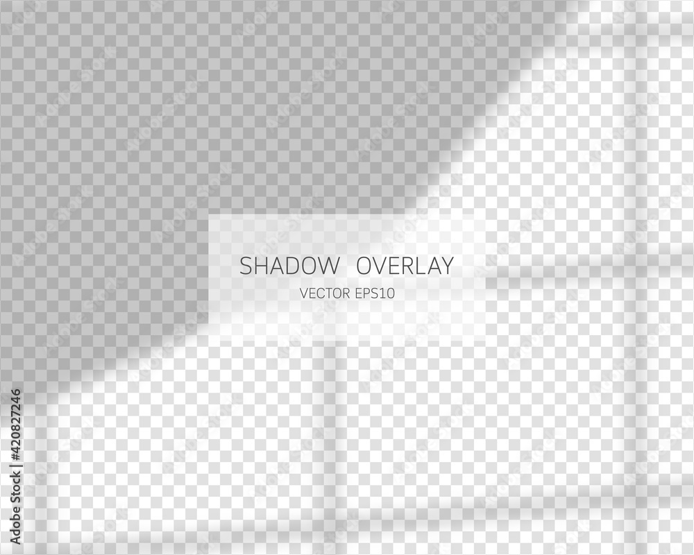 Poster shadow overlay effect. natural shadows from window isolated on transparent background. vector illust
