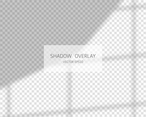 Shadow overlay effect. Natural shadows from window isolated on transparent background. Vector illustration. 