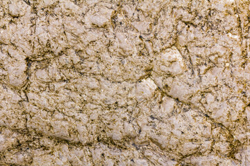 Texture created by nature. Wet stones