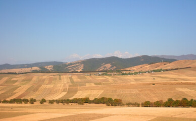 Central Asia. Kyrgyzstan. High-altitude fertile fields of the Tien Shan. Mountain landscape...