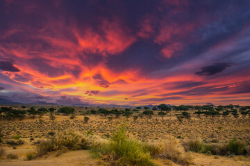 Desert View in Saam Jaisalmer Rajasthan
