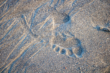 a background of a wet part of the beach and foot mark