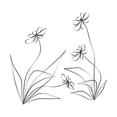 Vector Illustration of Elegant Botanical Line Art. Good for Cover, Poster, Card, and other.