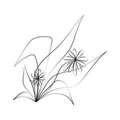 Vector Illustration of Elegant Botanical Line Art. Good for Cover, Poster, Card, and other.