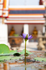 Bangkok. Thailand. Wat Pho, with few tourists in the Buddhist temple complex, which is also known as the Temple of the Reclining Buddha. 
